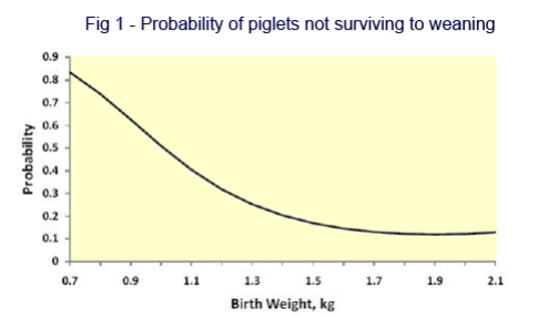Fig 1 - Probability of piglets not surviving to weaning